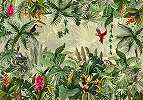 Modern vlies fali poszter trópusi dzsungel és állat mintával papagáj tukán 368x254 vlies