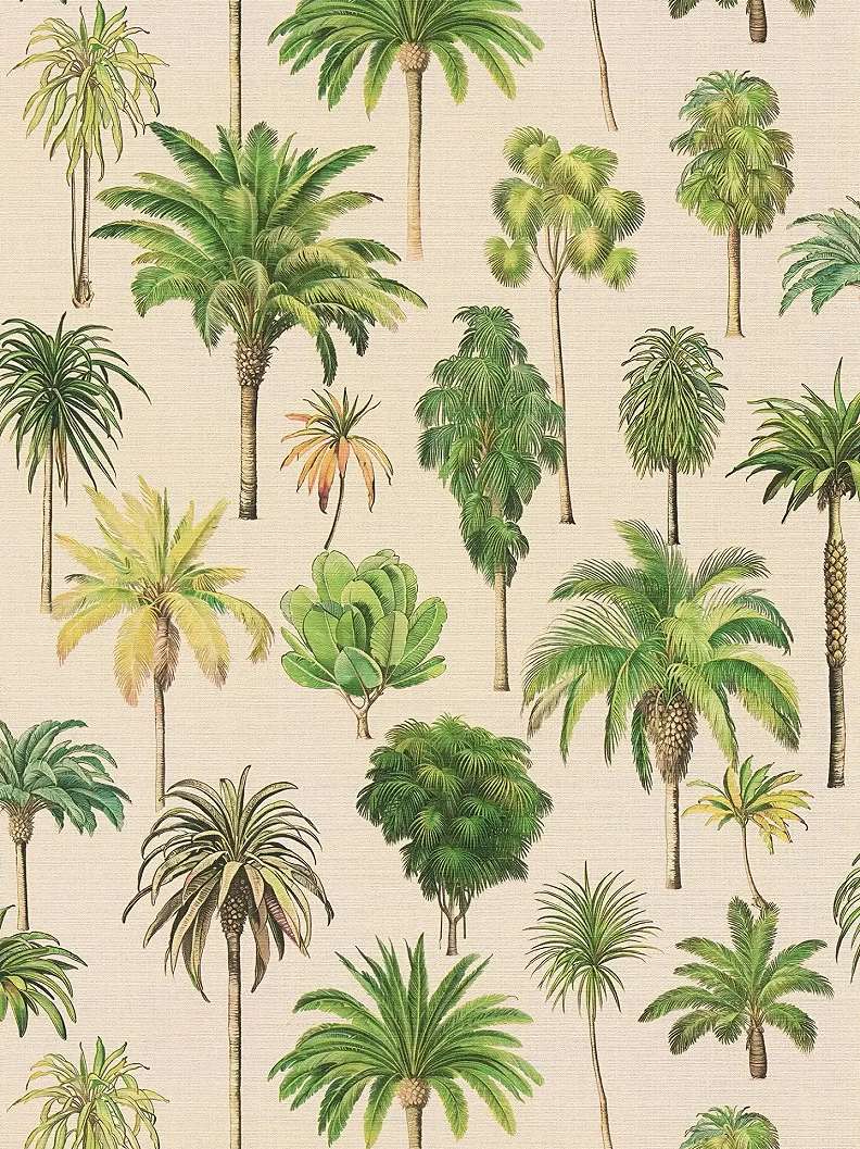 Mosható dekor tapéta pálmafa mintával zöld és krém színben