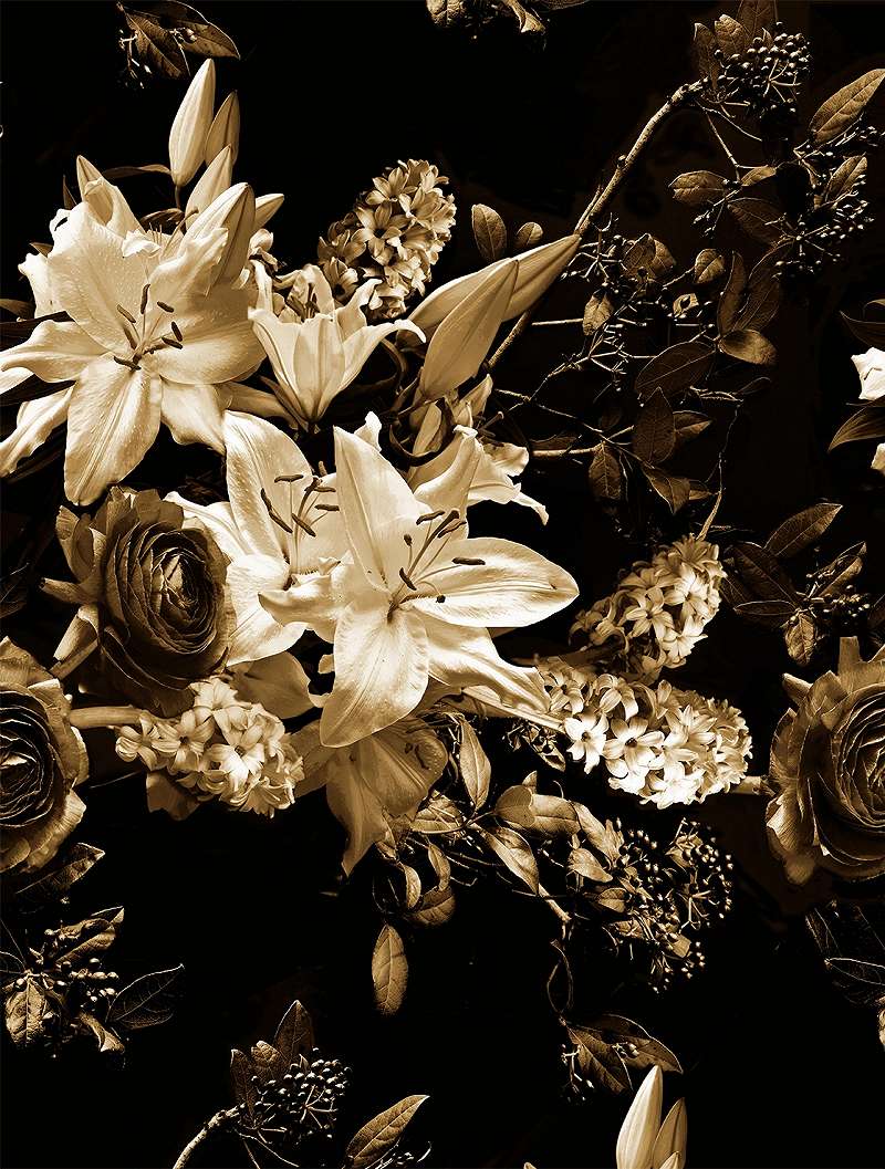 Mosható vinyl fotótapéta szépia hatású fotórealisztikus virágcsokor