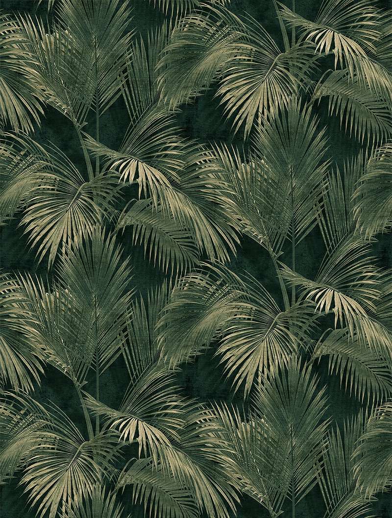 Mosható vinyl fotótapéta zöld, fekete pálma levél mintával