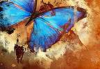 Művészi, absztrakt fali poszter pillangóval 368x254 vlies