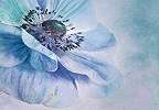 Óriás fali poszter kék virág mintával