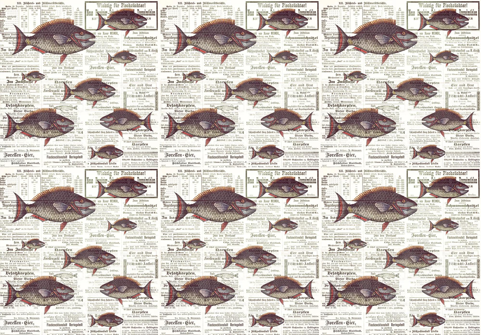 Óriás fali poszter újság és hal mintával retro hangulatban 368x254 vlies