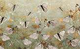 Óriás pillangó mintás vlies posztertapéta 368x254 vlies