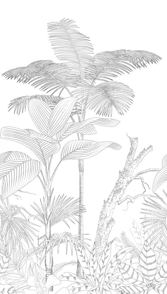 Pálmafa mintás minimál fekete fehér design poszter tapéta