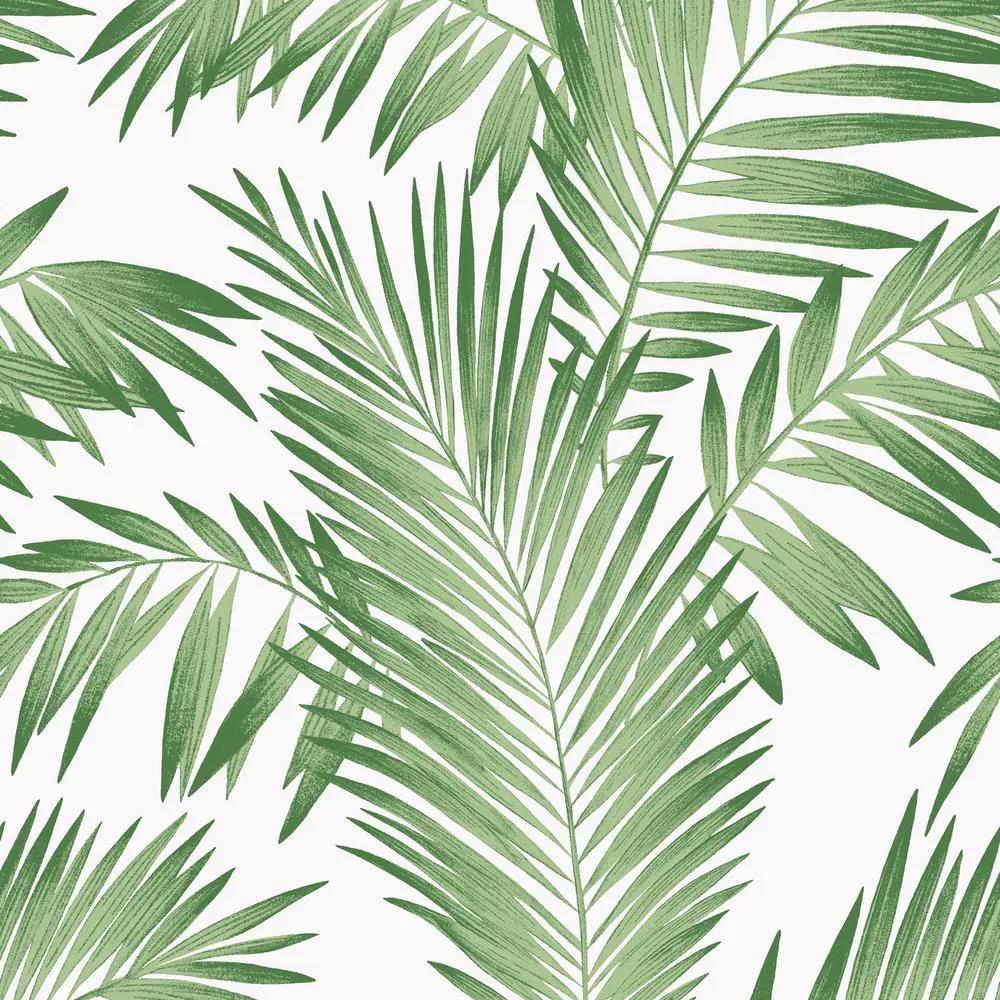Pálmalevél mintás tapéta trópusi zöld pálmafa levelekkel