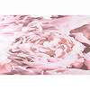 Pink design tapéta rózsa mintával mosható vinyl felülettel