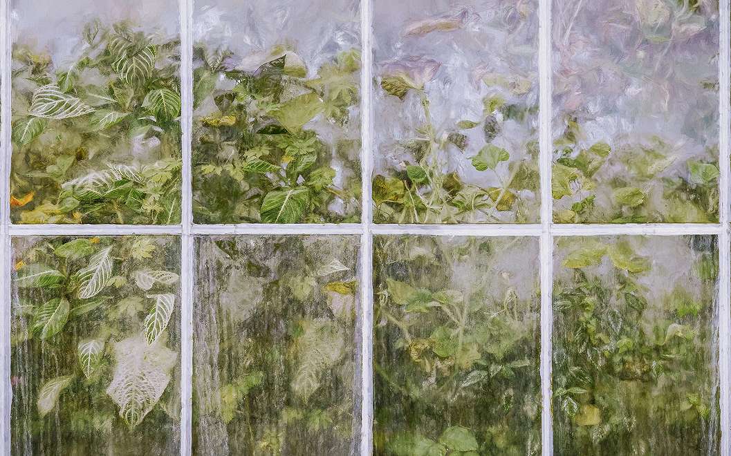 Posztertapéta ablak és botanikus leveles mintával
