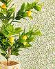 Prémium design tapéta apró virág és levél mintával