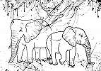 Rajzolt elefánt mintás fali poszter 368x254 vlies