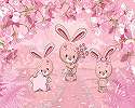 Rózsaszín nyuszi és virág mintás gyerek design poszter tapéta 368x254 vlies