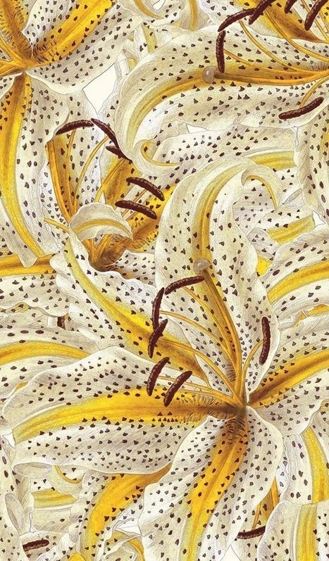 Sárga liliom virágmintás ismételhető poszter