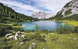 Seebensee-tó osztrák Alpokban fali poszter