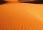 Sivatagi látkép fali poszter