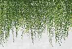 Skandináv hangulatú fali poszter futó zöld növény mintával
