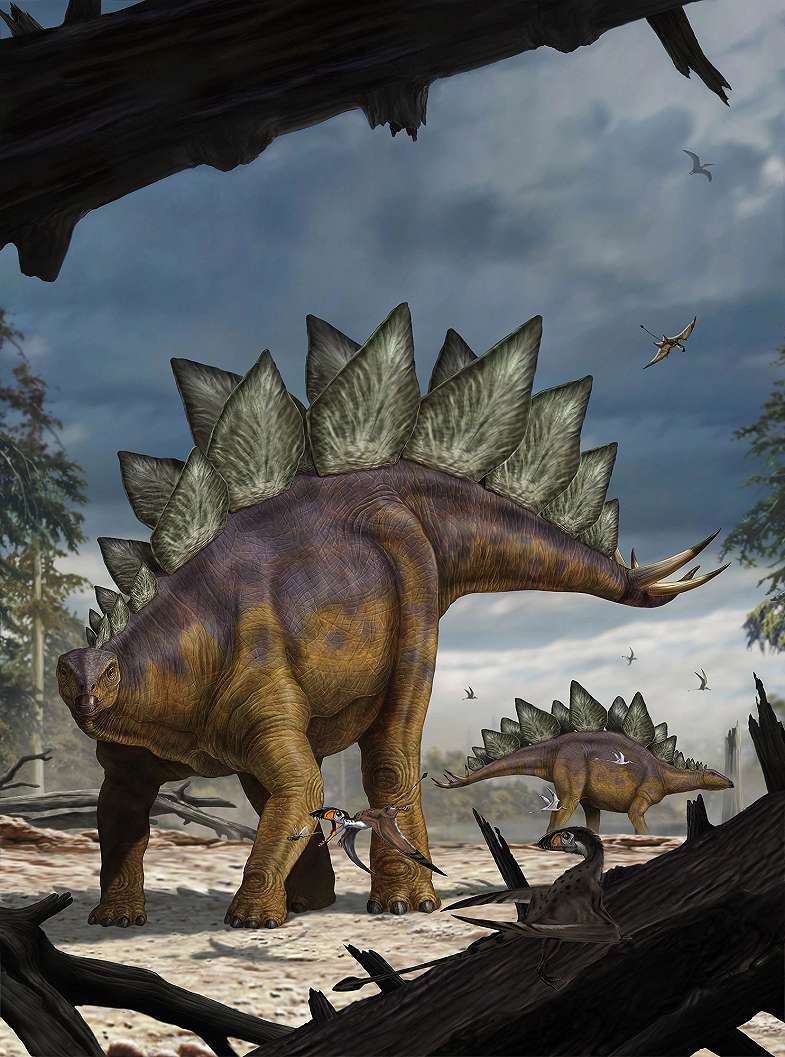 Stegosaurus dinó mintás vlies fali poszter