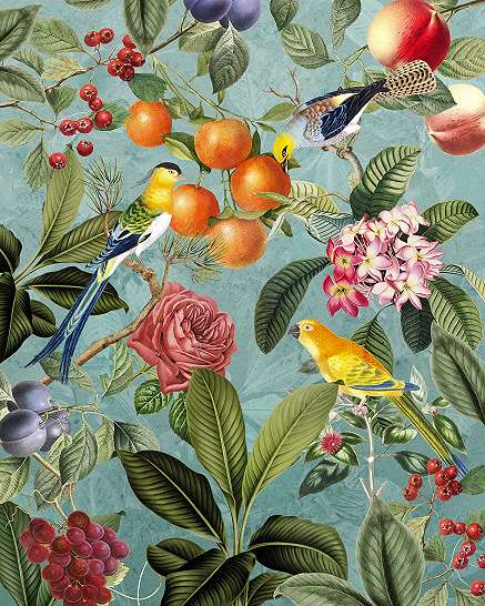 Színes modern madár és botanikus mintás vlies fali poszter