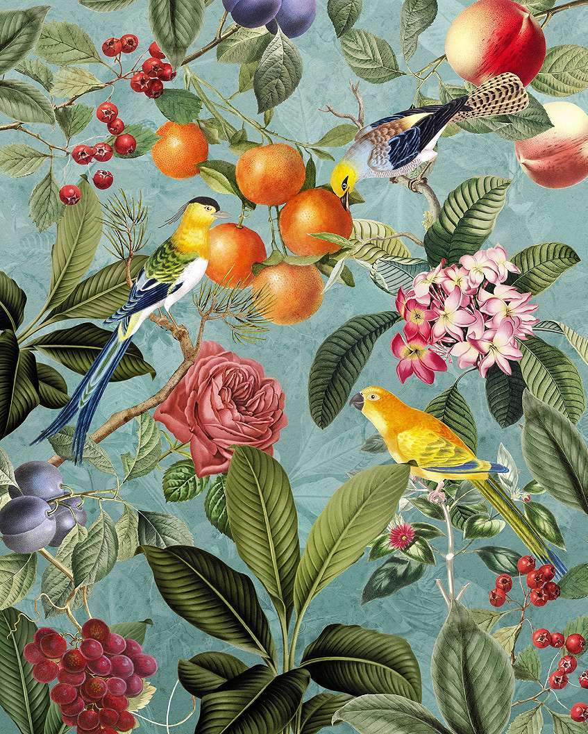 Színes modern madár és botanikus mintás vlies fali poszter