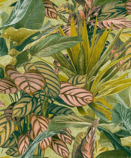 Színes trópusi botanikus levélmintás design tapéta