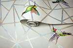 Szürke alapon kolibri mintás design tapéta szivárvány színű csíkokkal