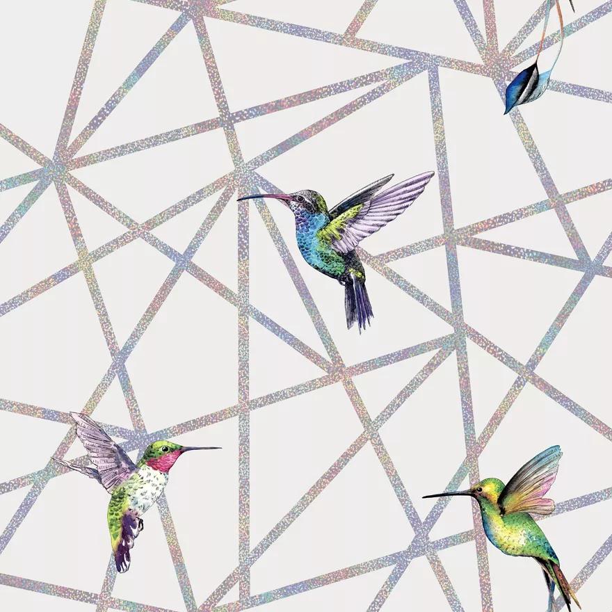 Szürke alapon kolibri mintás design tapéta szivárvány színű csíkokkal