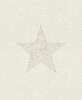 Szürke-krém csillag mintás vlies tapéta