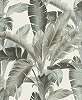 Szürkészöld szívilágú óriás pálmalevél mintás trendi dekor tapéta