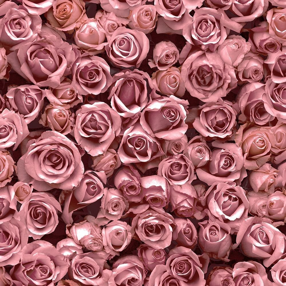 Tapéta rózsa mintával, rózsaszín rózsákkal