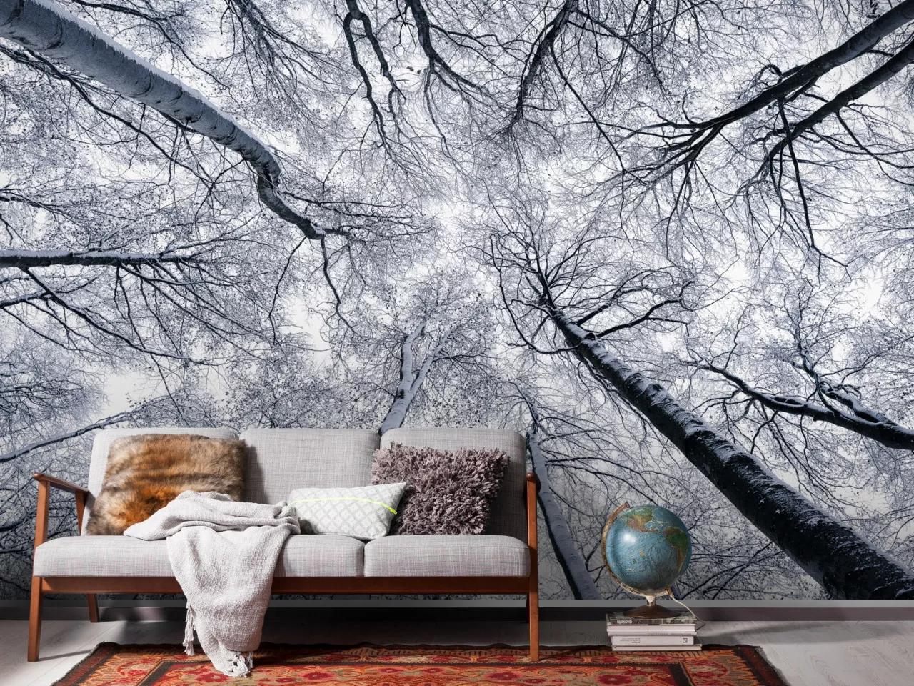 Téli erdő szépsége fali poszter