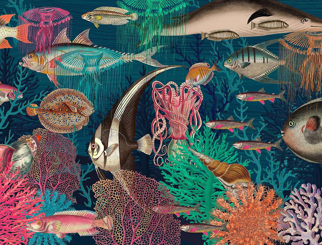 Tengeri élővilág mintás absztrakt poszter tapéta hal korall mintával 368x254 vlies