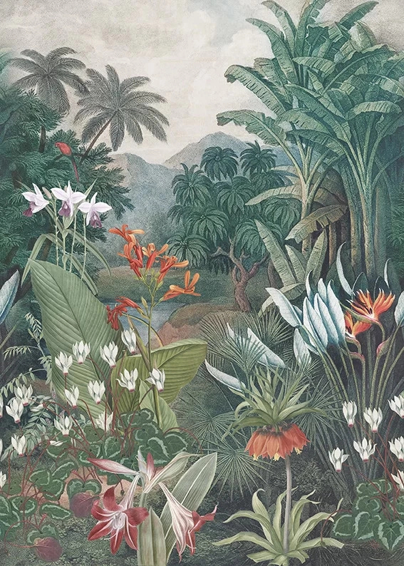 Trópusi botanikus dzsungel mintás vlies posztert tapéta