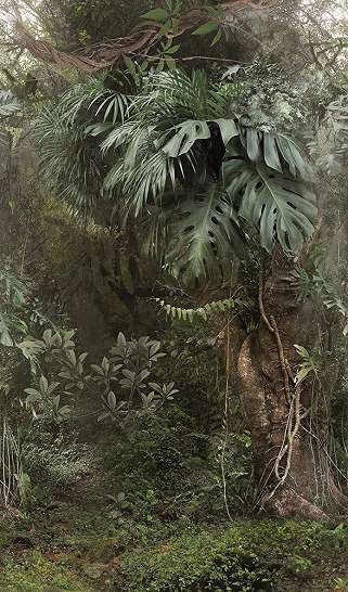 Trópusi botanikus mosható vinyl poszter tapéta