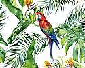 Trópusi hangulatú fali poszter papagáj mintával
