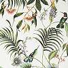 Trópusi hangulatú kolibri mintás design tapéta