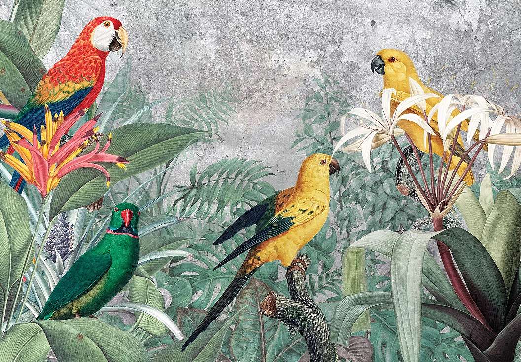 Trópusi hangulatú modern papagály mintás vlies fali poszter 368x254 vlies