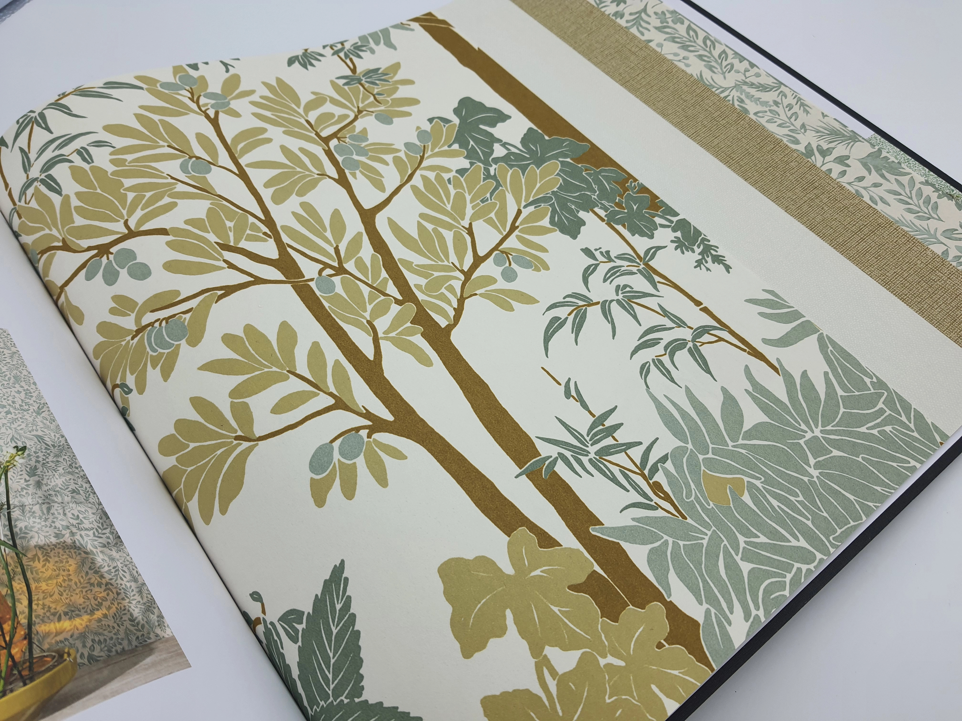 Trópusi hangulatú modern vlies design tapéta olivafa mintával