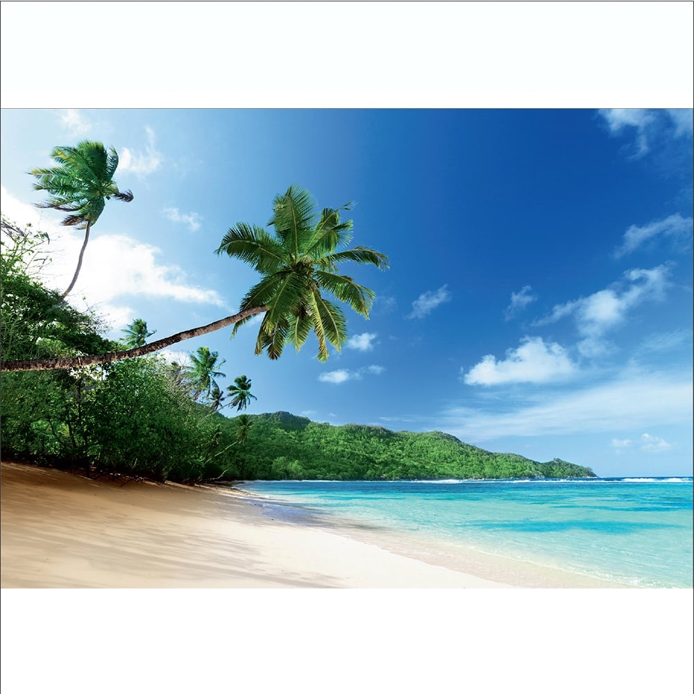 Trópusi tengerpart egzotikus pálmafa fali poszter