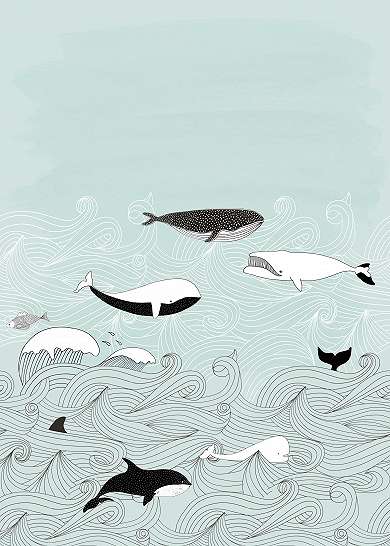 Türkíz bálna mintás fali poszter gyerekszobába