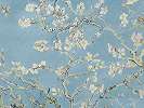 Világos kék mandula virág mintás Van Gogh design tapéta