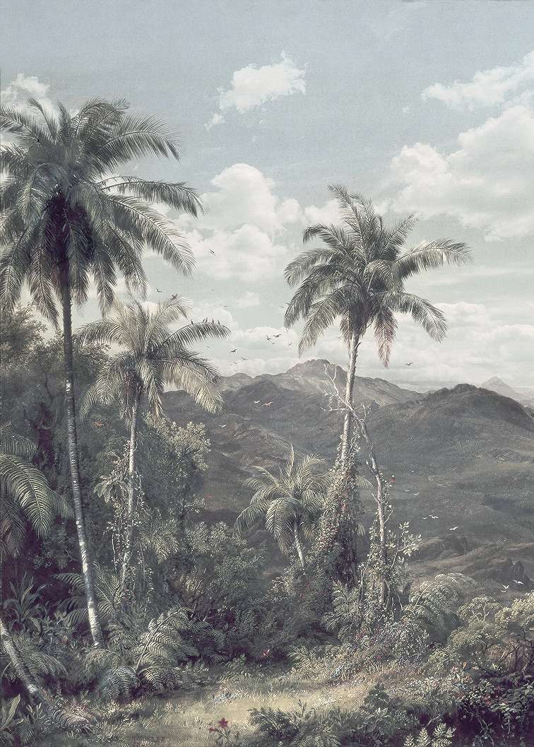 Vintage dzsungel mintás vlies fali posztertapéta