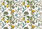 Vintage hangulatú kolibri és botanikus citrom mintás poszter tapéta 368x254 vlies
