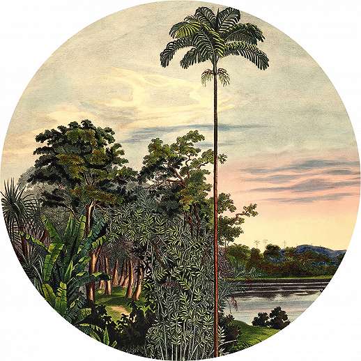 Vintage trópusi dzsungel mintás kör posztertapéta