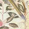 Vlies fali poszter színes trópusi botanikus virág és papagáj mintával