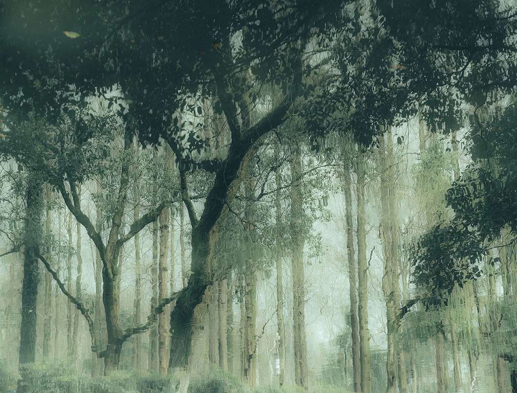 Vlies fotótapéta zöld erdei tájkép mintával 368x254 vlies