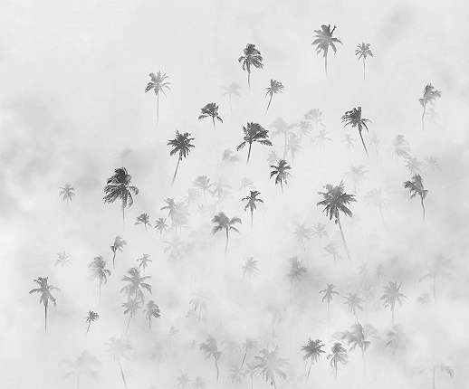 Vlies poszter tapéta ködös trópusi tájkép pálmafákkal