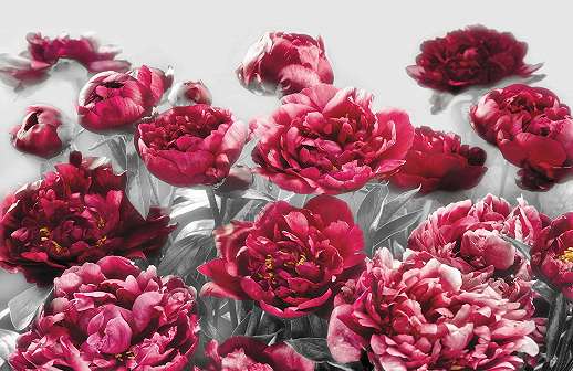 Vörös virágok romantikus fali poszter