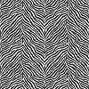 Zebra csíkos mintás dekor tapéta
