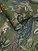 Zöld dekor tapéta páva madár mintával