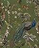 Zöld dekor tapéta páva madár mintával