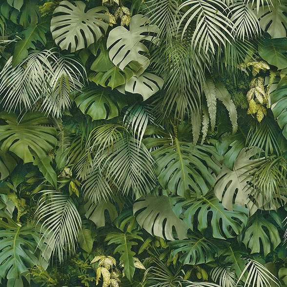 Zöld dekor tapéta trópusi levél mintával